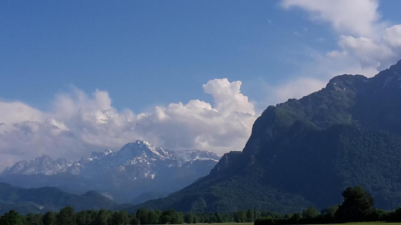 Apartments By Pension Ballwein Salzburg Zewnętrze zdjęcie